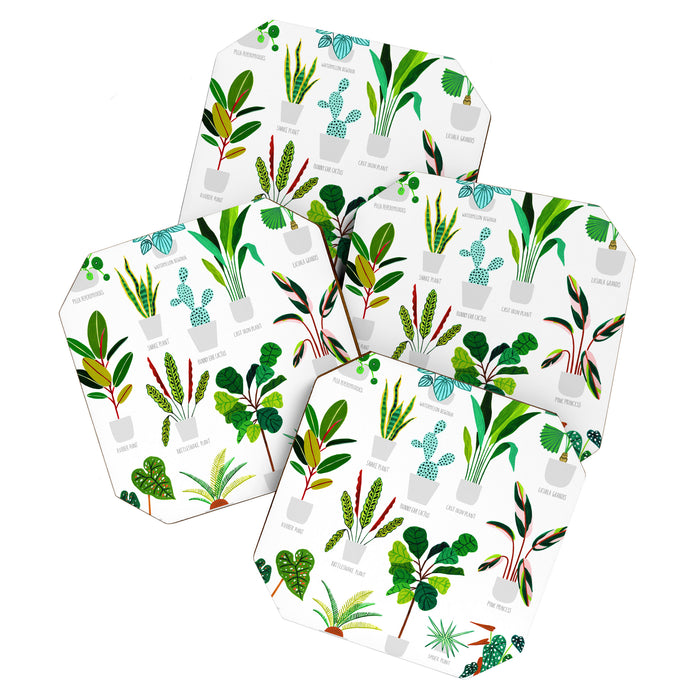 House Plants  Coaster Gallery Image 1