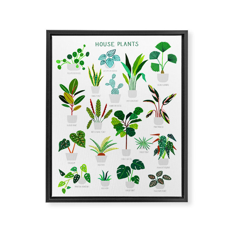 House Plants  Framed Canvas Print Gallery Image 3