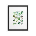 House Plants  Framed Art Print Gallery Image 5