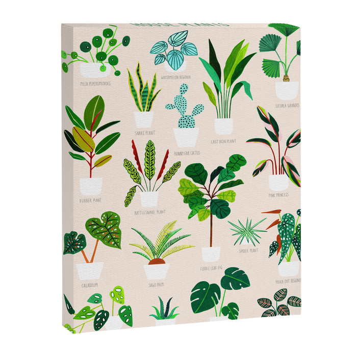 House Plants on Pink Canvas Print Gallery Image 1