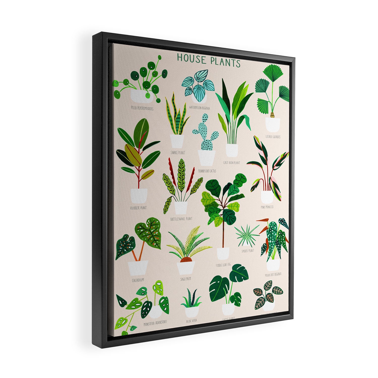 House Plants on Pink Framed Canvas Print Gallery Image 2