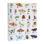 Insect Alphabet Canvas Print Gallery Image 6