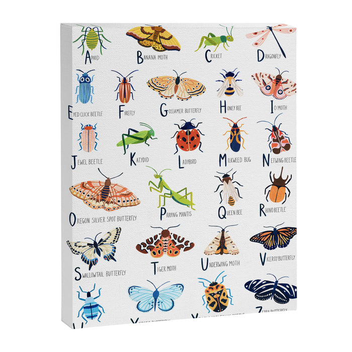 Insect Alphabet Canvas Print Gallery Image 1
