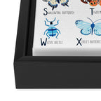 Insect Alphabet Framed Canvas Print Gallery Image 3