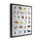 Insect Alphabet Framed Canvas Print Gallery Image 2