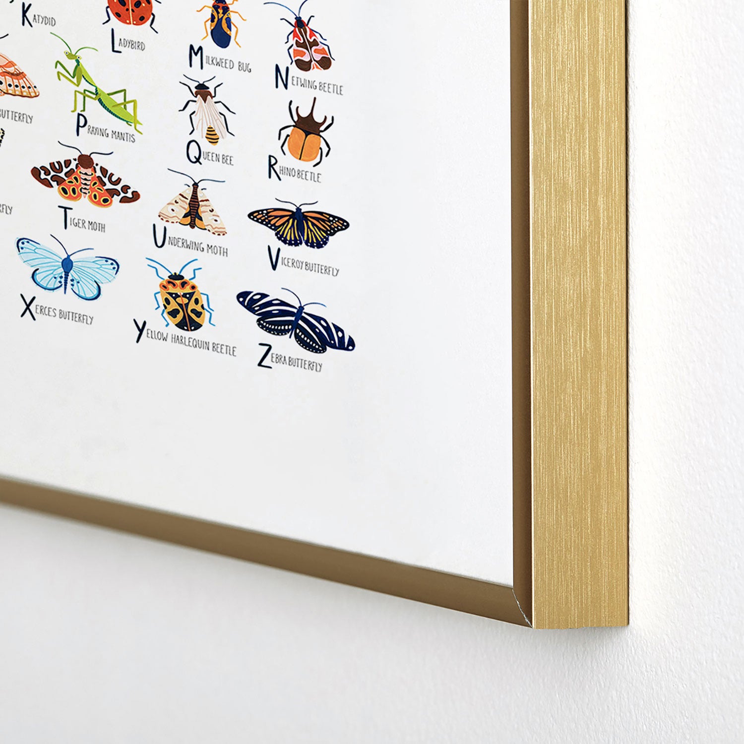 Insect Alphabet Framed Art Print Gallery Image 4