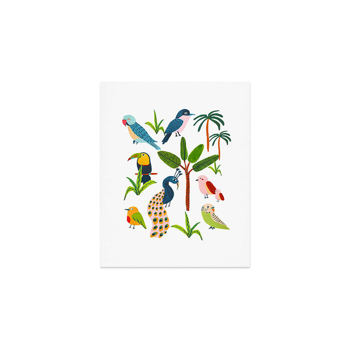 Jungle Birds Species Art Print Gallery Image 1