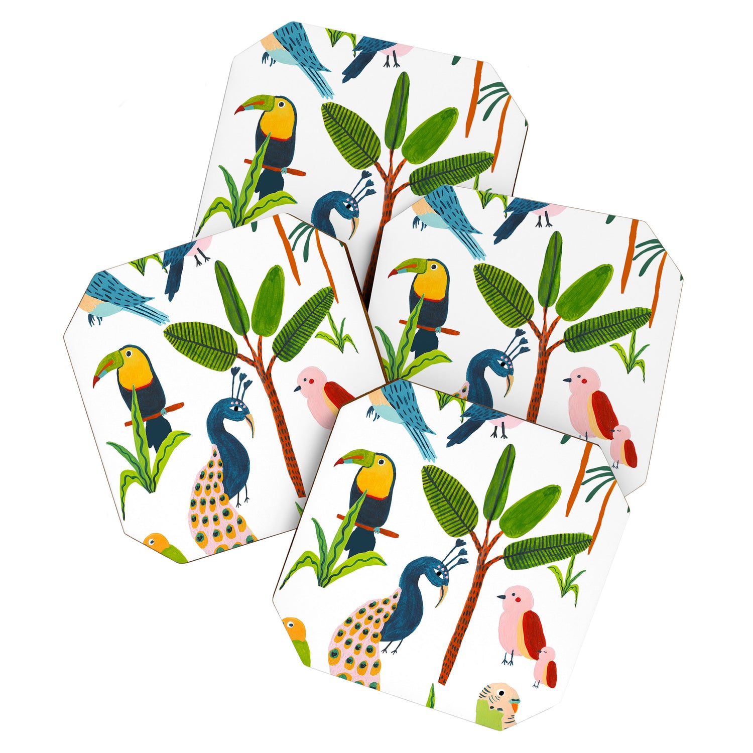 Jungle Birds Species Coaster Gallery Image 1