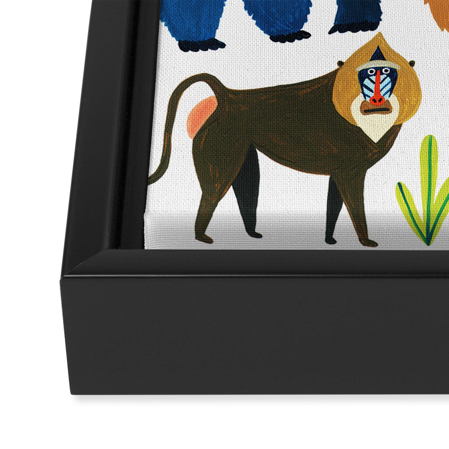 Jungle Monkeys Framed Canvas Print Gallery Image 3