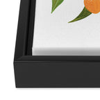 Kumquat Branch Framed Canvas Print Gallery Image 3
