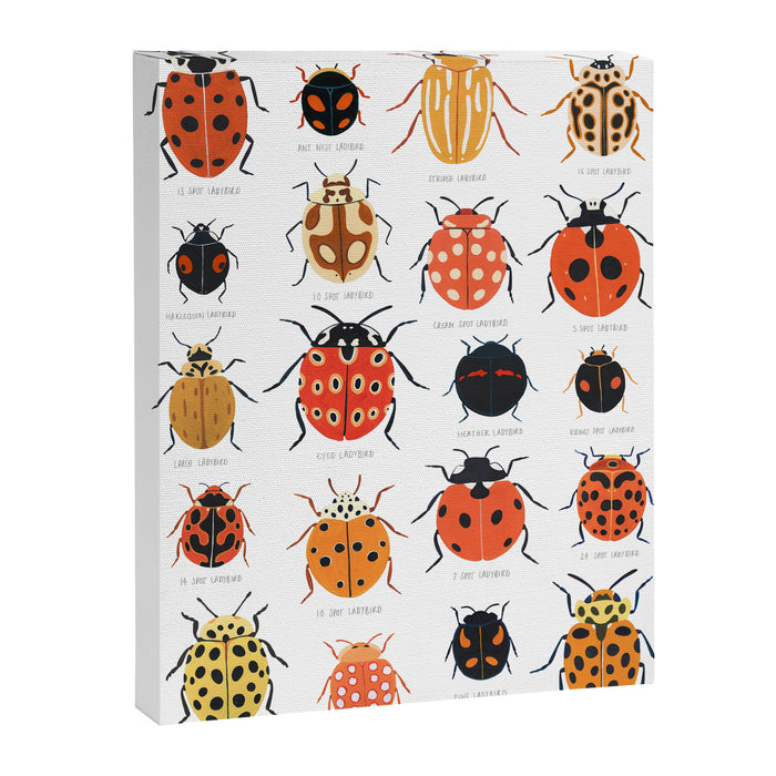 Ladybugs Canvas Print Gallery Image 1