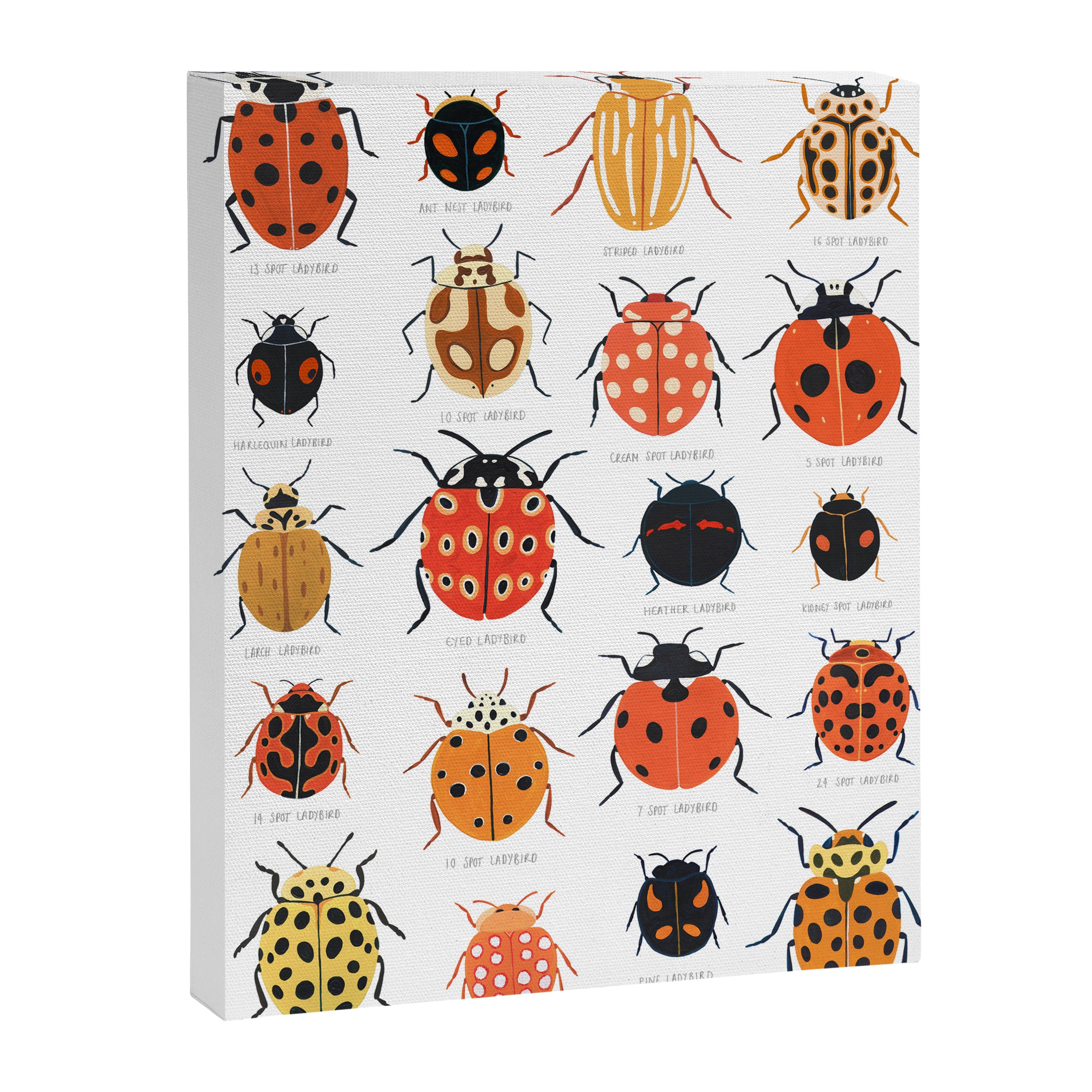 Ladybugs Canvas Print Gallery Image 6