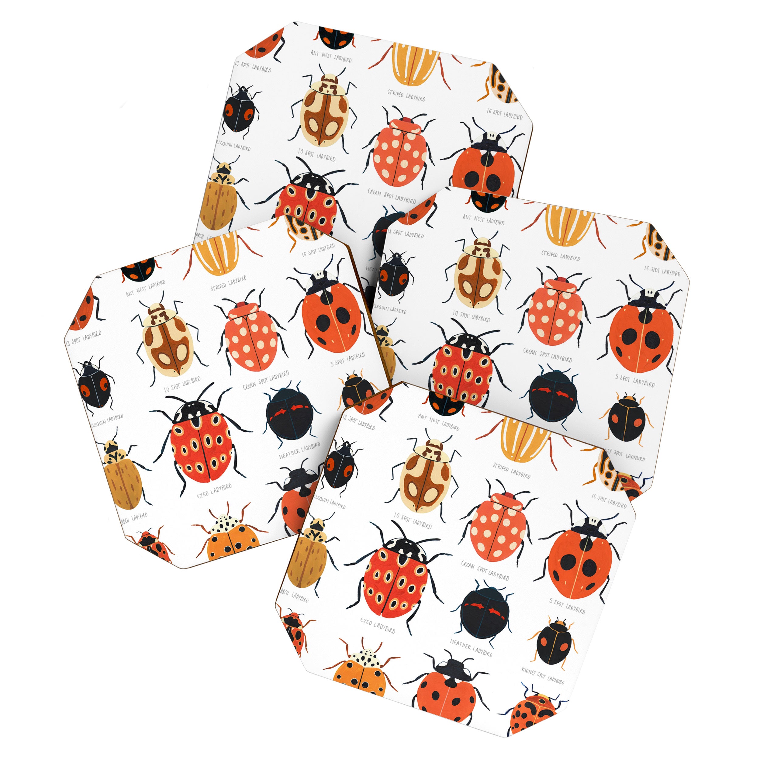 Ladybugs Coaster Gallery Image 1