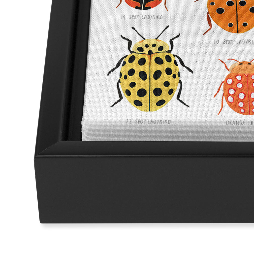 Ladybugs Framed Canvas Print Gallery Image 3