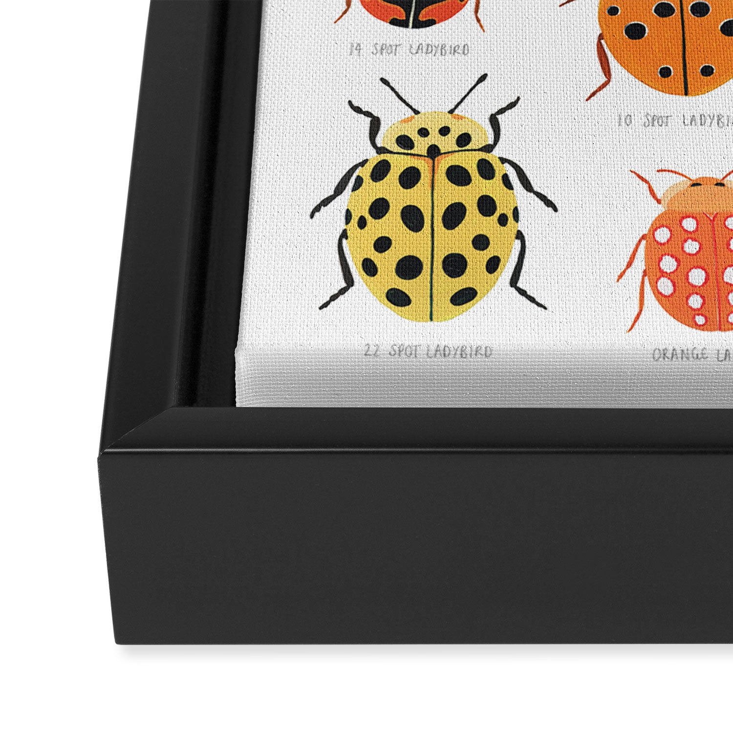 Ladybugs Framed Canvas Print Gallery Image 3