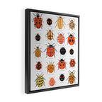 Ladybugs Framed Canvas Print Gallery Image 2