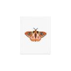 Moth Art Print Gallery Image 1