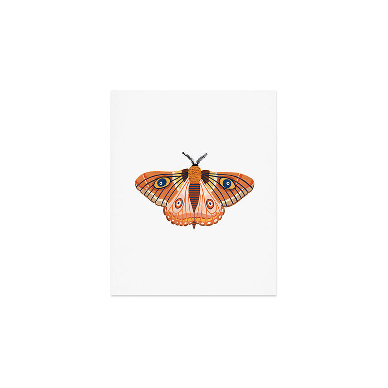 Moth Art Print Gallery Image 1