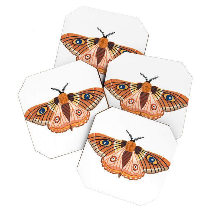 Moth Coaster Gallery Image 1