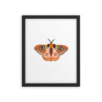 Moth Framed Art Print Gallery Image 6