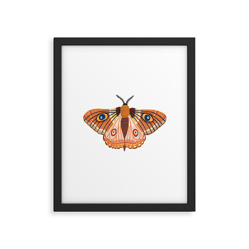 Moth Framed Art Print Gallery Image 6