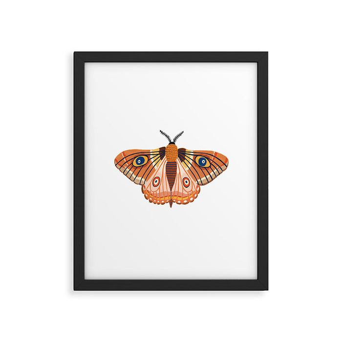 Moth Framed Art Print Gallery Image 1