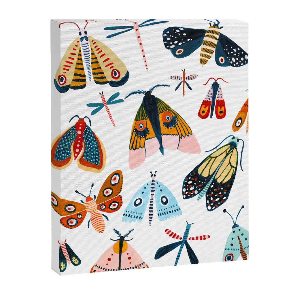 Moth Species Canvas Print Gallery Image 6