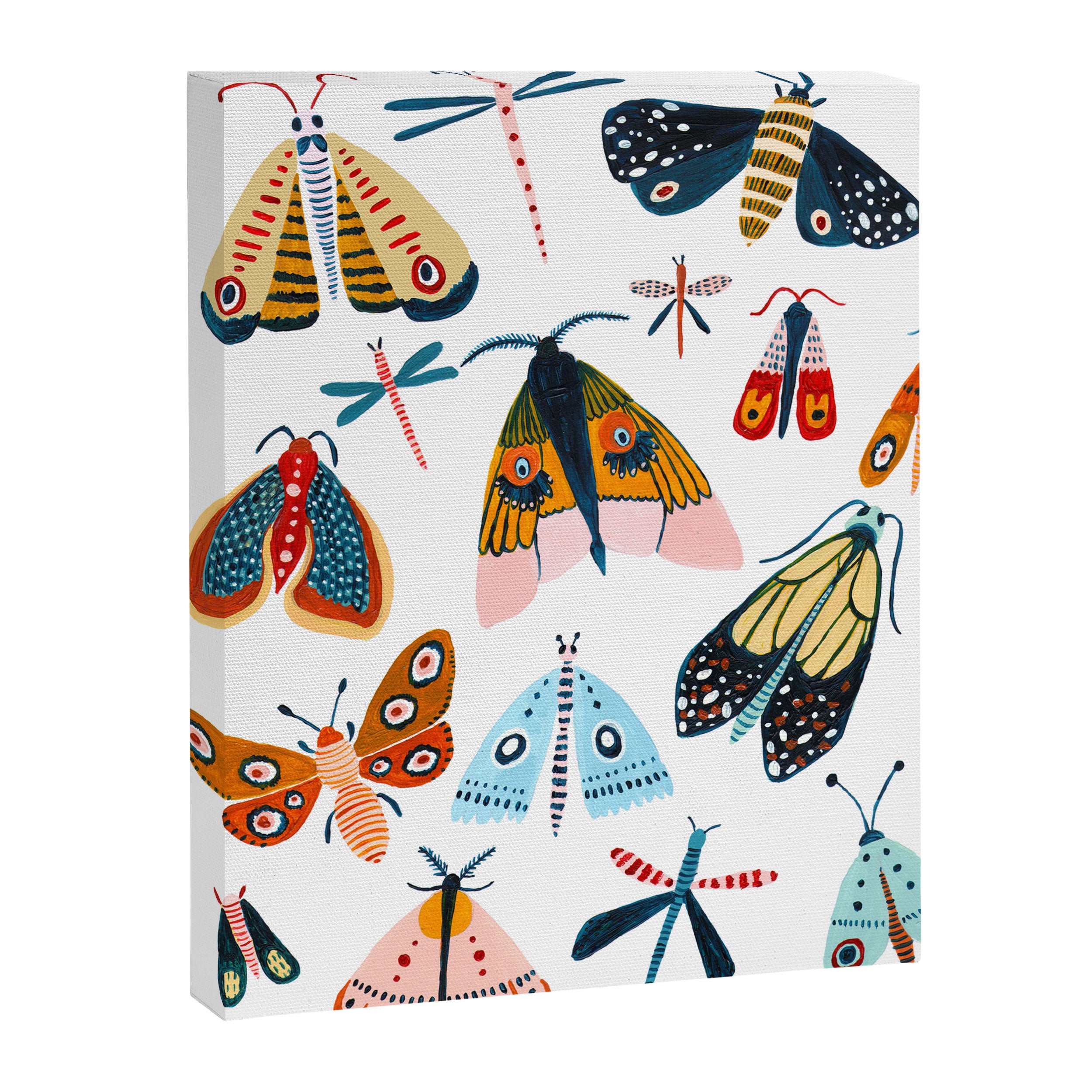 Moth Species Canvas Print Gallery Image 6