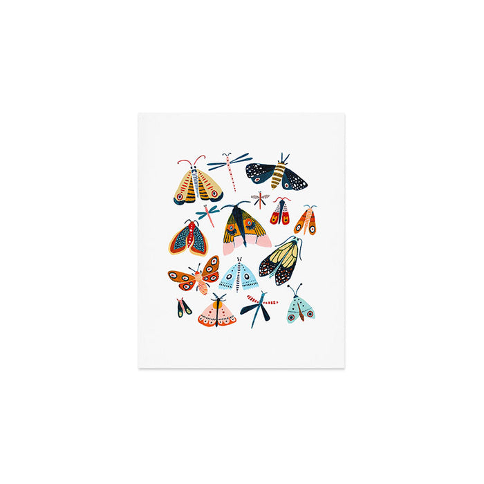 Moth Species Art Print Gallery Image 1