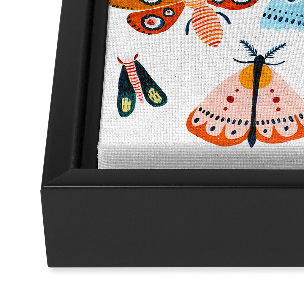 Moth Species Framed Canvas Print Gallery Image 3