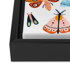 Moth Species Framed Canvas Print Gallery Image 3