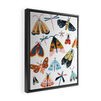Moth Species Framed Canvas Print Gallery Image 2