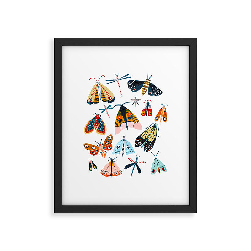 Moth Species Framed Art Print Gallery Image 5