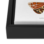 Moth Trio Framed Canvas Print Gallery Image 3