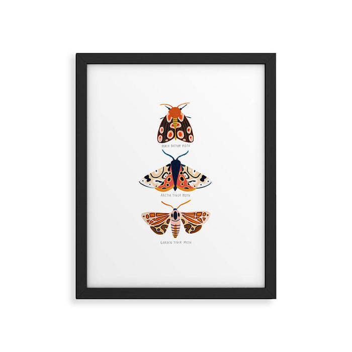 Moth Trio Framed Art Print Gallery Image 1