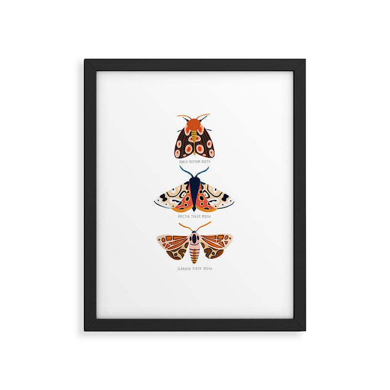 Moth Trio Framed Art Print Gallery Image 5