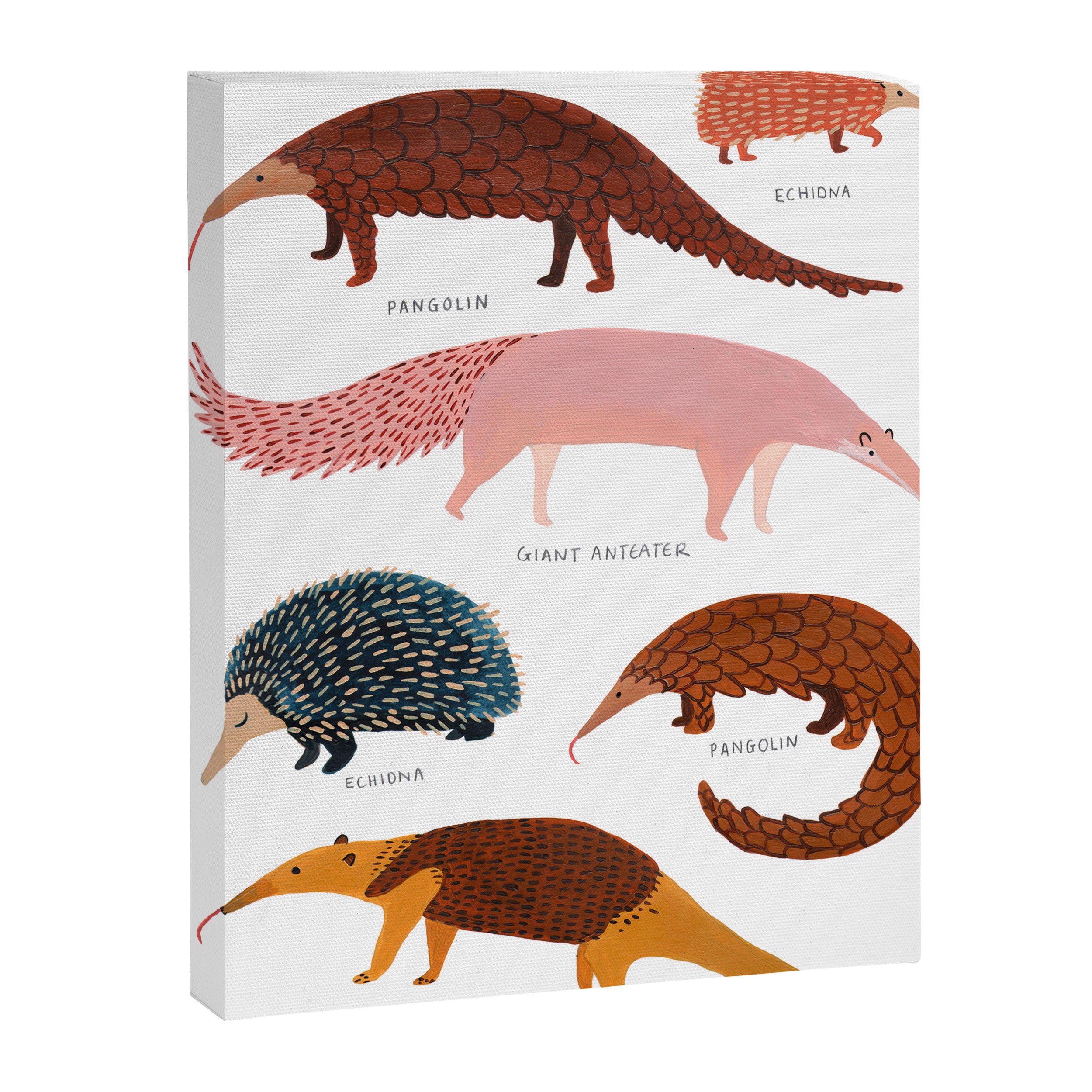 Pangolin, Anteater & Echidna Print Canvas Print Gallery Image 6