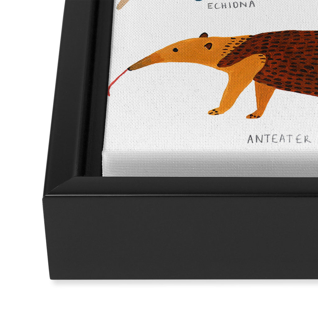 Pangolin, Anteater & Echidna Print Framed Canvas Print Gallery Image 3