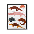 Pangolin, Anteater & Echidna Print Framed Canvas Print Gallery Image 6