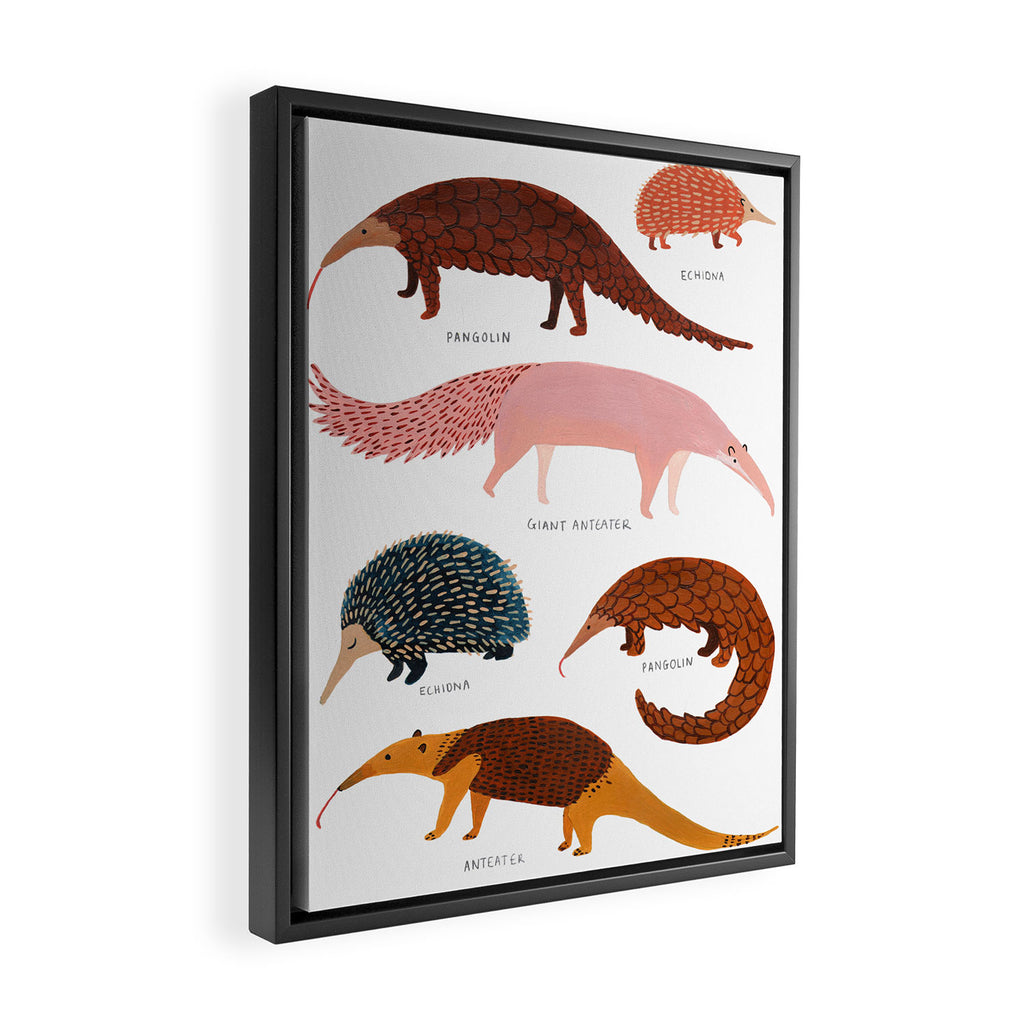 Pangolin, Anteater & Echidna Print Framed Canvas Print Gallery Image 2