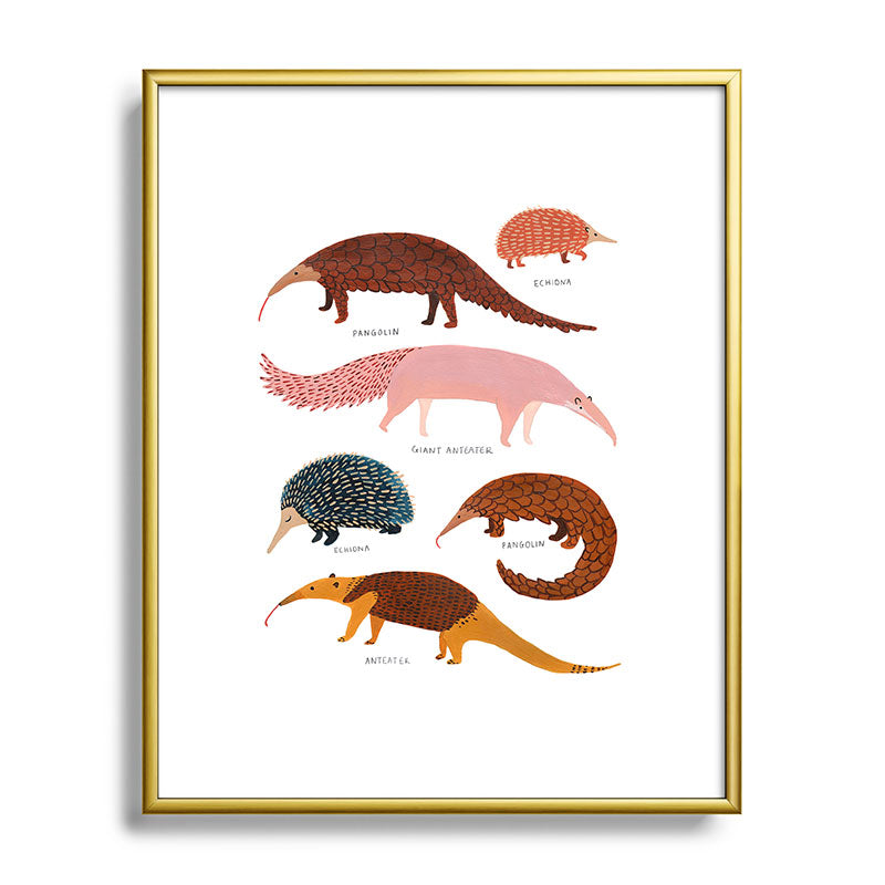 Pangolin, Anteater & Echidna Print Framed Art Print Gallery Image 89