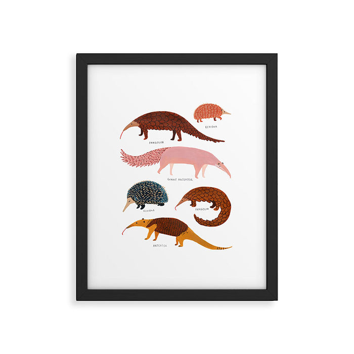 Pangolin, Anteater & Echidna Print Framed Art Print Gallery Image 1