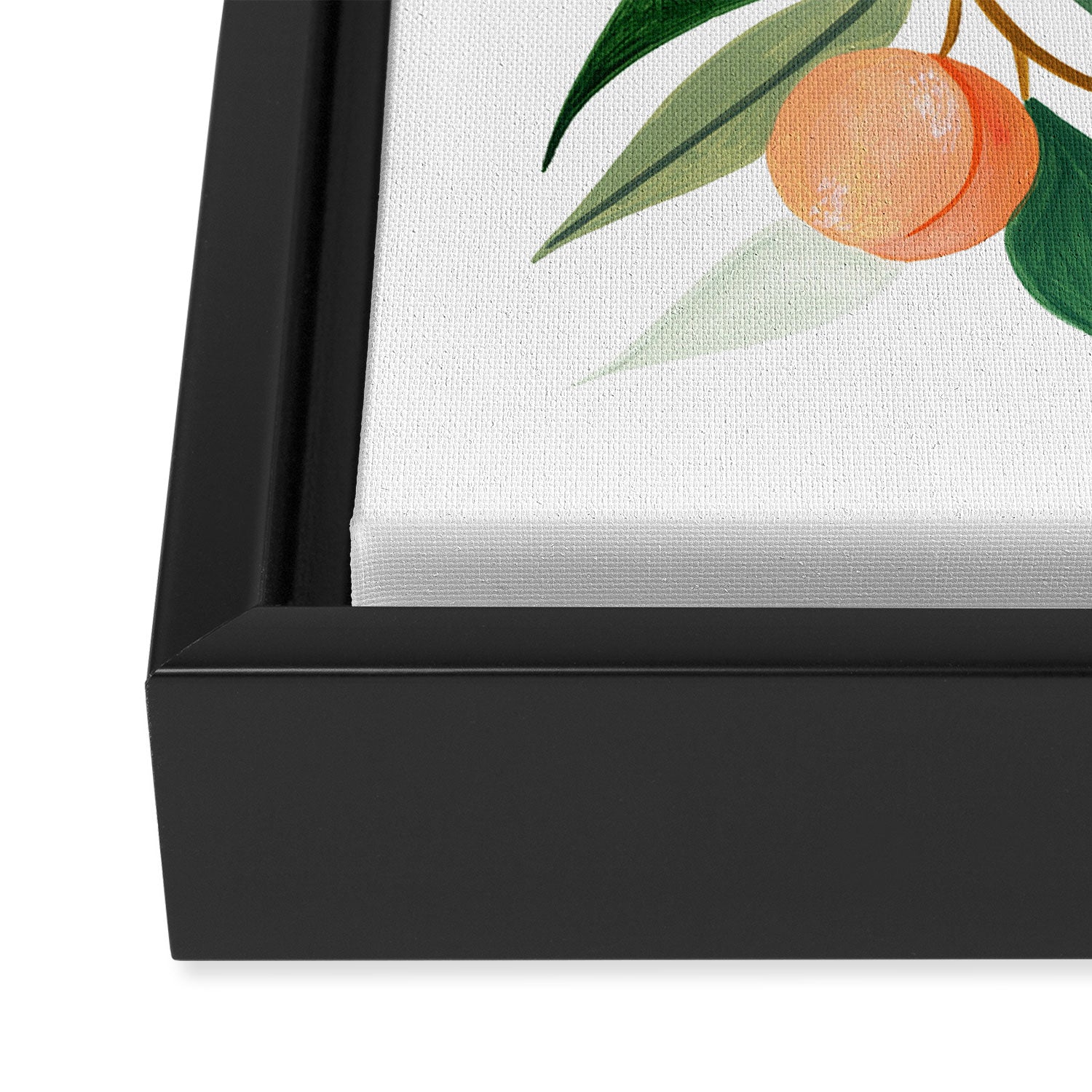 Peach Framed Canvas Print Gallery Image 3