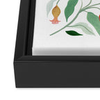 Pomegranate Framed Canvas Print Gallery Image 3