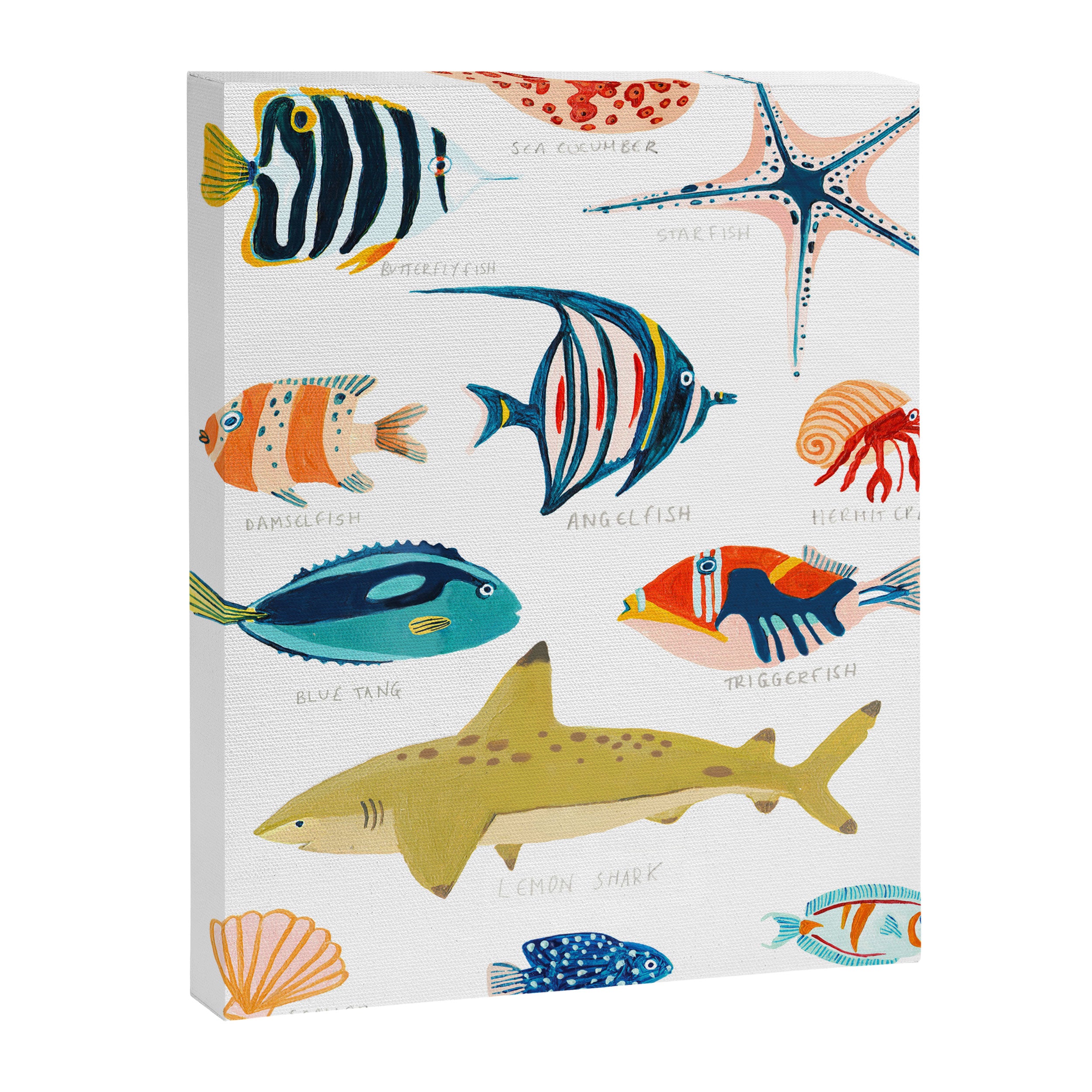 Sea Life of Fiji Canvas Print Gallery Image 6