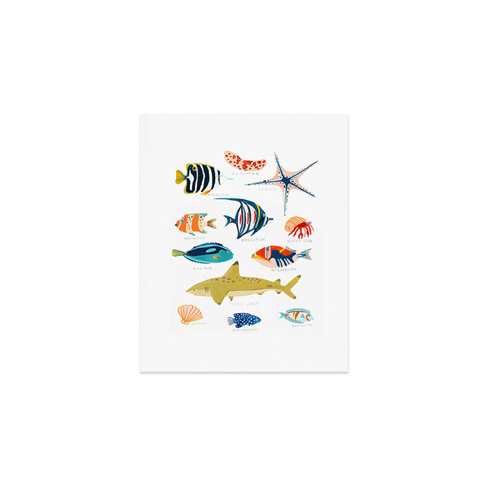 Sea Life of Fiji Art Print Gallery Image 1