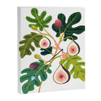 Summer Figs Canvas Print Gallery Image 6
