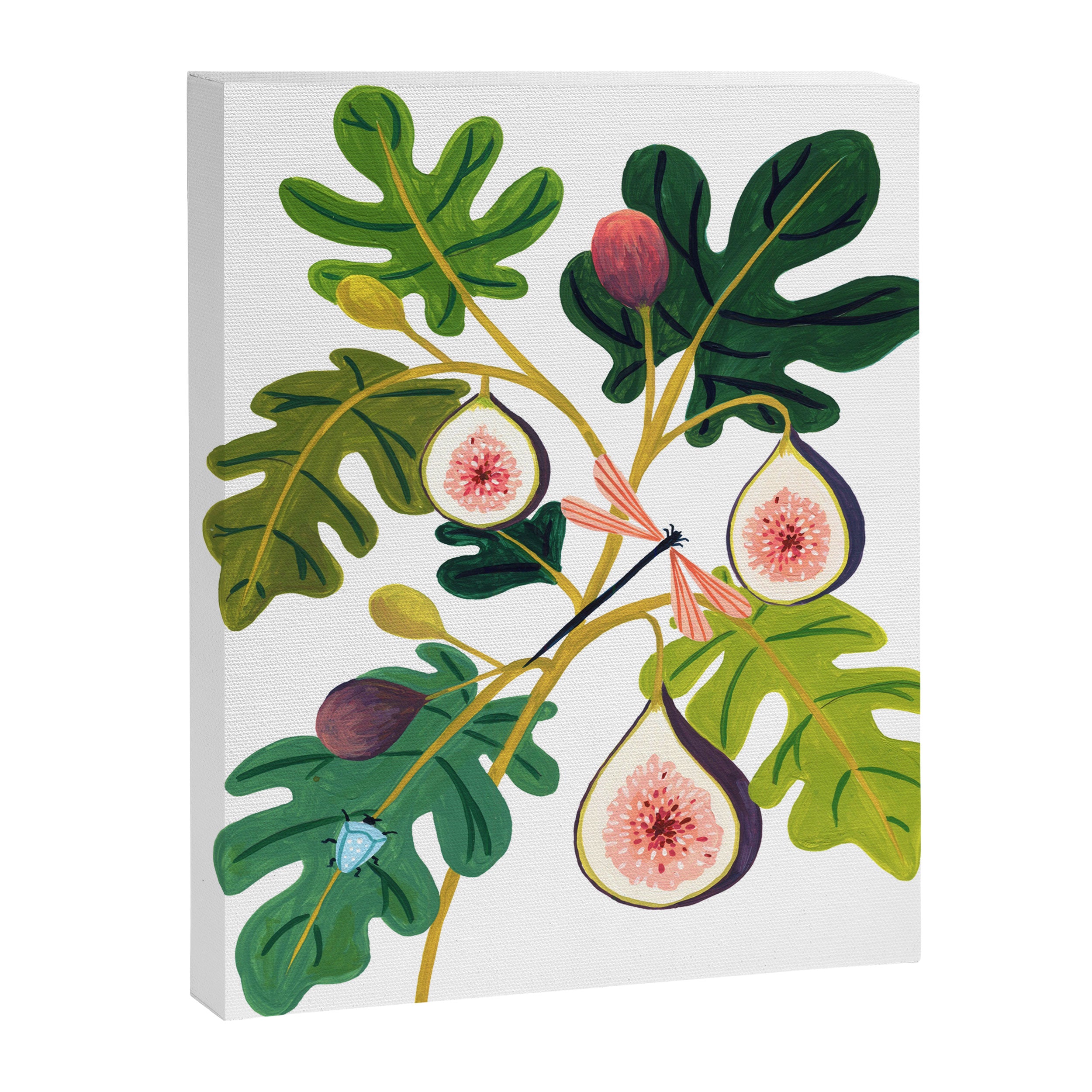 Summer Figs Canvas Print Gallery Image 6