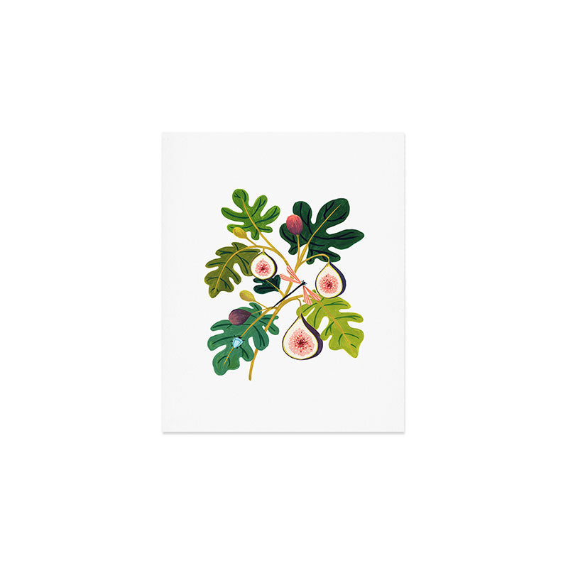 Summer Figs Art Print Gallery Image 1