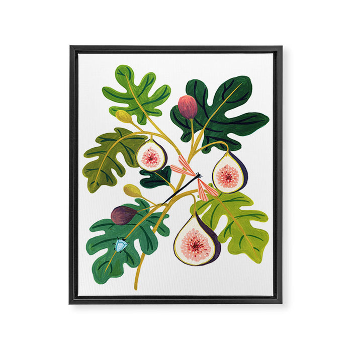 Summer Figs Framed Canvas Print Gallery Image 1